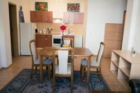 Town Hall 3 Bedroom Apartment Vilna Exterior foto